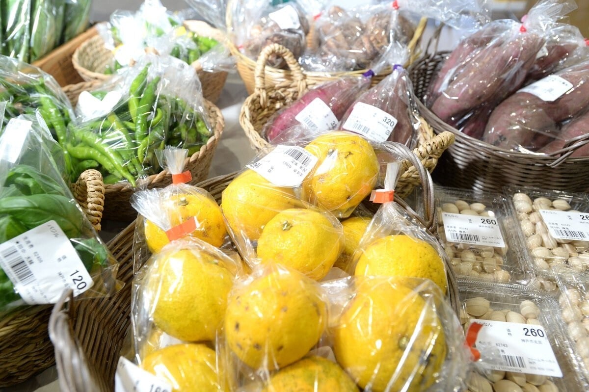 旬の食材が目白押し