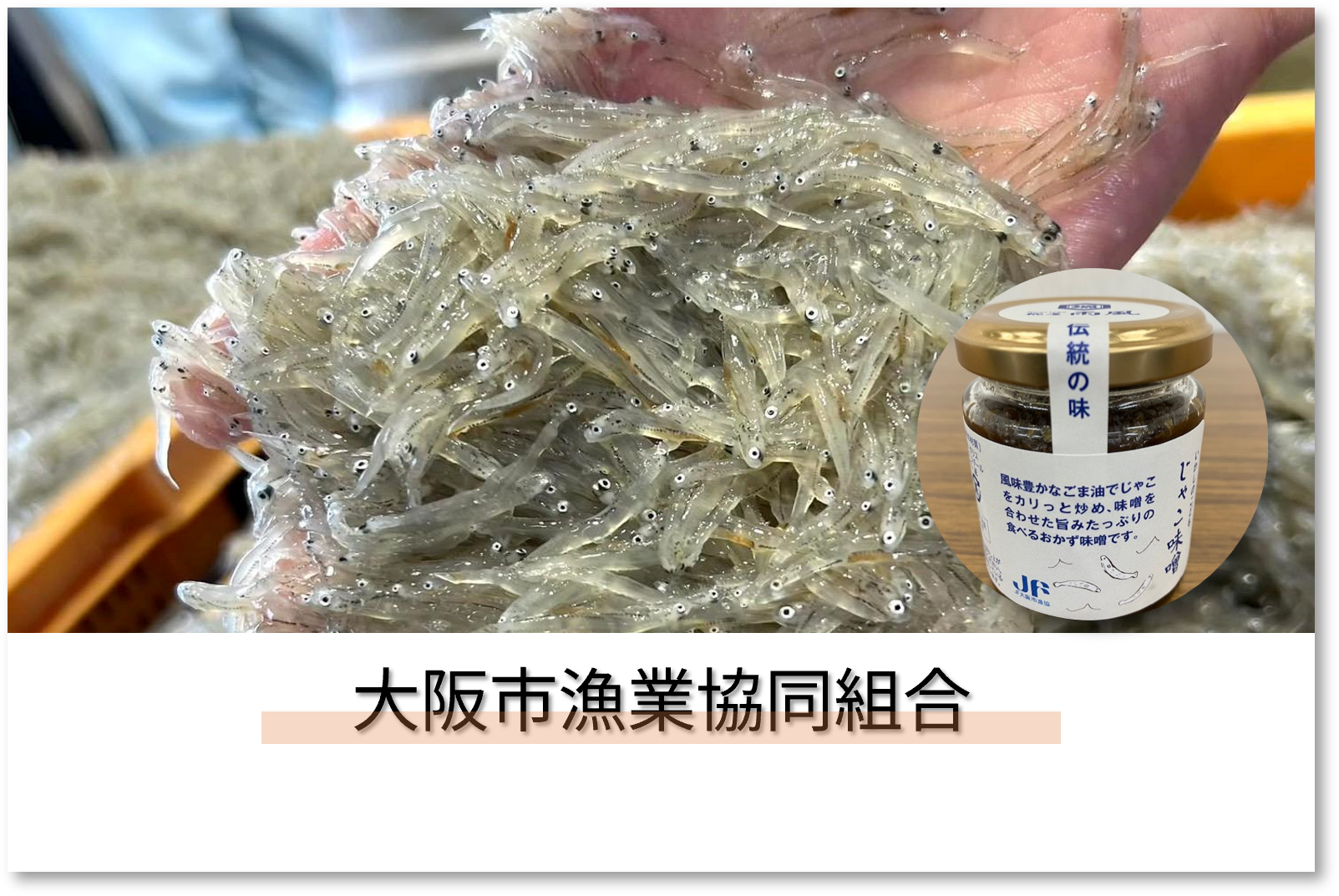 出店者_大阪市漁業協同組合 出店者_大阪市漁業協同組合
