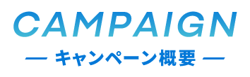 キャンペーン概要 キャンペーン概要